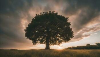 ai generado un solitario árbol soportes en un campo debajo un nublado cielo foto