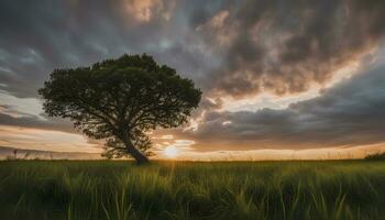 ai generado un solitario árbol en un campo con un dramático puesta de sol foto