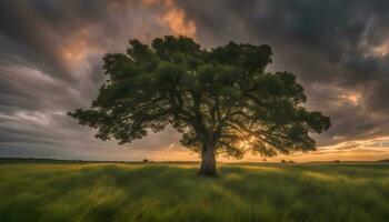 ai generado un solitario árbol soportes en un campo debajo un dramático cielo foto