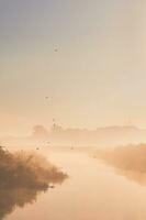 Swallows flying over misty river in the morning photo