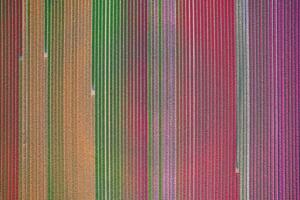 Arial view of colorful tulip field photo