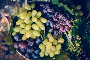 Delicious grapes in a bowl photo