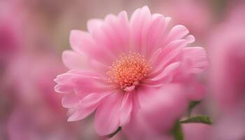 ai generado rosado flor con borroso antecedentes foto