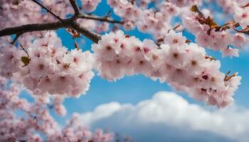 AI generated cherry blossoms on a tree with blue sky in the background photo