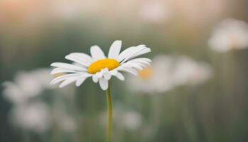 AI generated a single white daisy is standing in a field photo