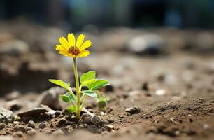 AI generated a yellow flower growing in the ground photo