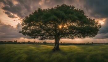 ai generado un solitario árbol en un campo con un dramático cielo foto