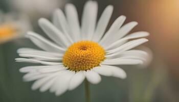 AI generated a close up of a daisy with a blurred background photo