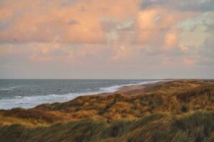 Wide dunes at danish west coast in the evening photo