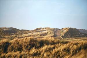 Denmarks dune landscape in low winter sun photo