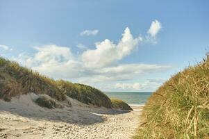 Path through the dunes and onto the beach in Denmark photo