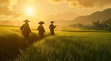 AI generated three men walking along the rice field at sunrise photo