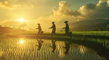 ai generado Tres hombres caminando a lo largo el arroz campo a amanecer foto