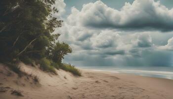 AI generated a sandy beach with trees and clouds photo