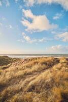 Pathway to the Coast at Denmarks shore photo