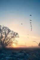 Flock of geese flying South photo