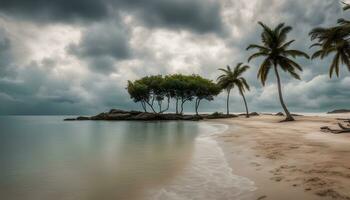 AI generated a beach with palm trees and a stormy sky photo