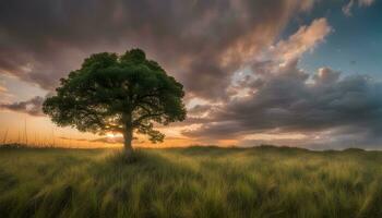 AI generated a lone tree stands in a field with a dramatic sunset photo