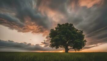 ai generado un solitario árbol soportes en un campo debajo un dramático puesta de sol foto