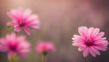 ai generado rosado flores en un campo con un borroso antecedentes foto