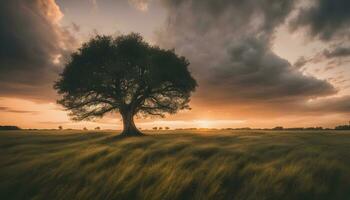 ai generado un solitario árbol soportes en un campo durante puesta de sol foto