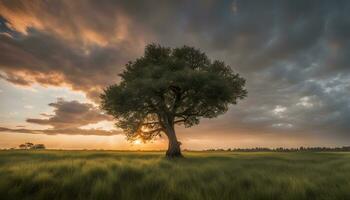 AI generated a lone tree stands in a field under a dramatic sunset photo