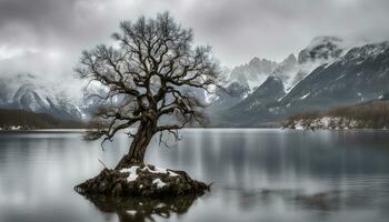 ai generado un solitario árbol soportes en un isla en un lago foto