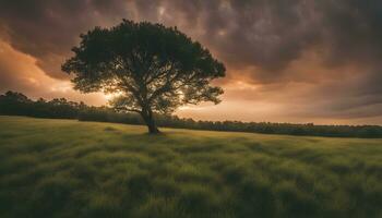 ai generado un solitario árbol soportes en un campo con un Tormentoso cielo foto