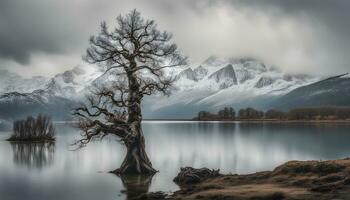 AI generated a lone tree stands in the middle of a lake photo