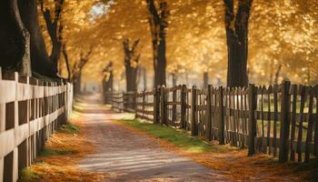 AI generated a path lined with trees and a fence photo
