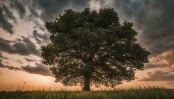 ai generado un solitario árbol soportes en un campo debajo un nublado cielo foto