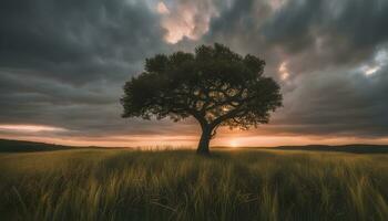 ai generado un solitario árbol soportes en un campo debajo un dramático cielo foto