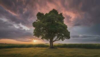 ai generado un solitario árbol soportes en un campo debajo un dramático puesta de sol foto