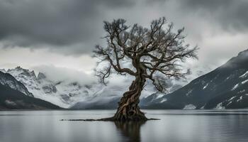 ai generado un solitario árbol soportes en el medio de un lago foto