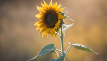 AI generated a sunflower is shown in front of a blurry background photo