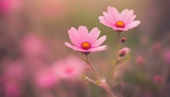 ai generado dos rosado flores son en un campo con borroso antecedentes foto