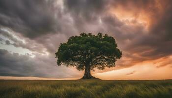 ai generado un solitario árbol soportes en un campo debajo dramático nubes foto