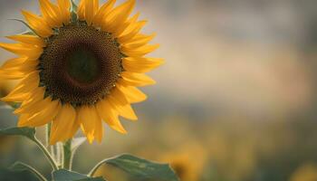 AI generated a sunflower is shown in a field photo