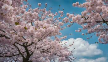 AI generated cherry blossoms on a tree in the spring photo