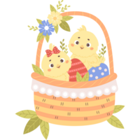 Easter Cute little chick in basket with eggs png