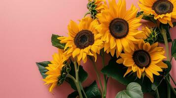 AI generated Bright sunflowers with lush green leaves on a soft pink background photo