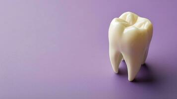 AI generated Model of a tooth on a purple background photo