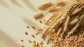 AI generated Wheat sheaves and scattered grains on a cream background with shadows photo