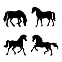 hand drawn horse silhouette vector