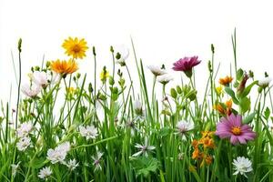 AI generated Grass and wild flowers border on white background. generative ai. photo
