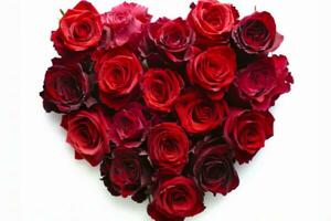 ai generado san valentin día corazón hecho de rojo rosas aislado en blanco antecedentes. generativo ai. foto