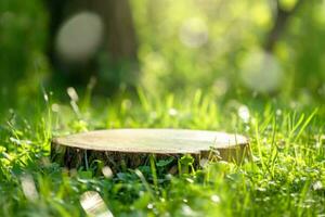 AI generated Round cut of a tree, a pedestal for an object, a podium for cosmetics. Summer sunshine, against the background of lush green grass.. High quality photo. generative ai. photo