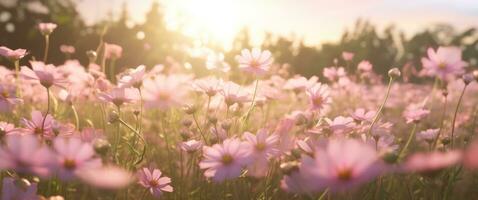 ai generado docenas de bonito rosado flores laico abajo en un campo foto