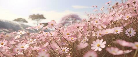 ai generado docenas de bonito rosado flores laico abajo en un campo foto