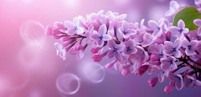 AI generated purple lilac flower photo